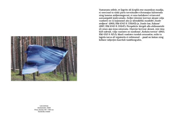 Raamat "Kalame kutse. Maalikunst ja kohamaagia" - Image 4